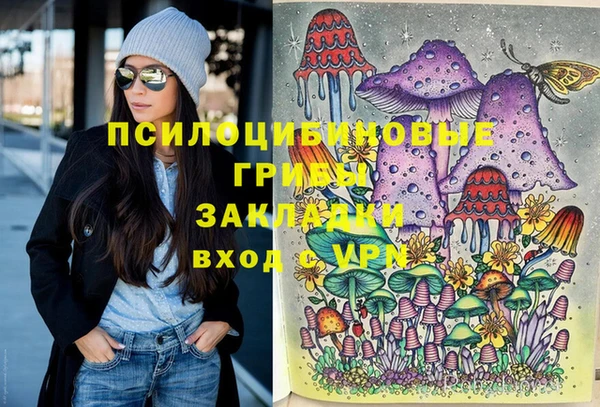 прущие крисы Инсар