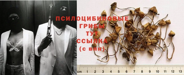 прущие крисы Инсар