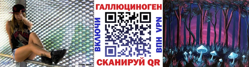 Псилоцибиновые грибы Psilocybe  darknet какой сайт  Железногорск 