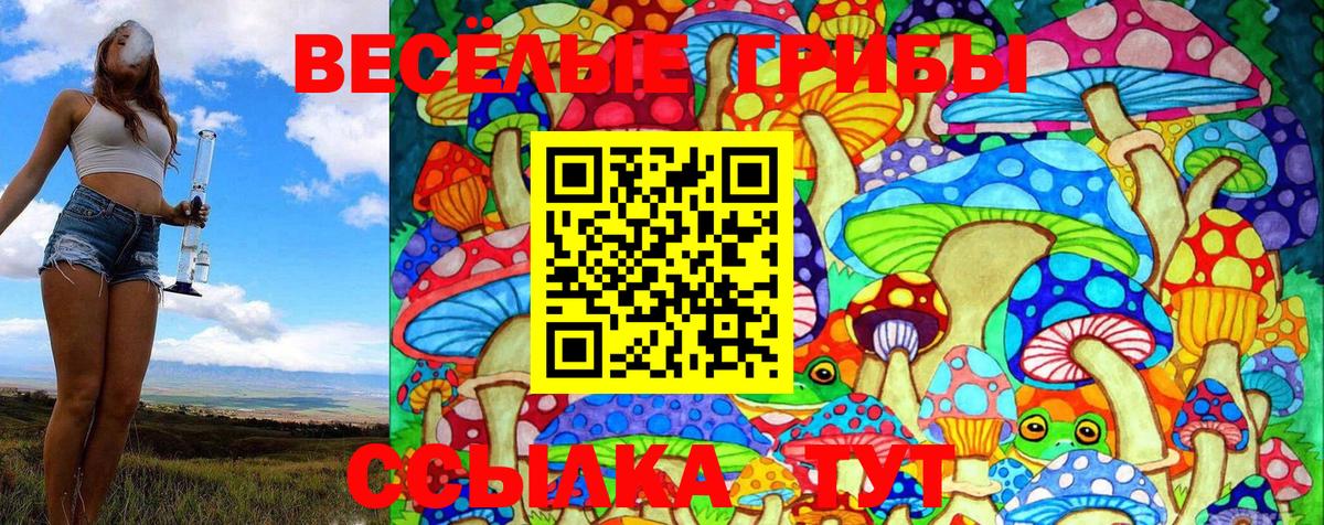 Галлюциногенные грибы Magic Shrooms  закладка  Псилоцибиновые грибы мухоморы  Железногорск 