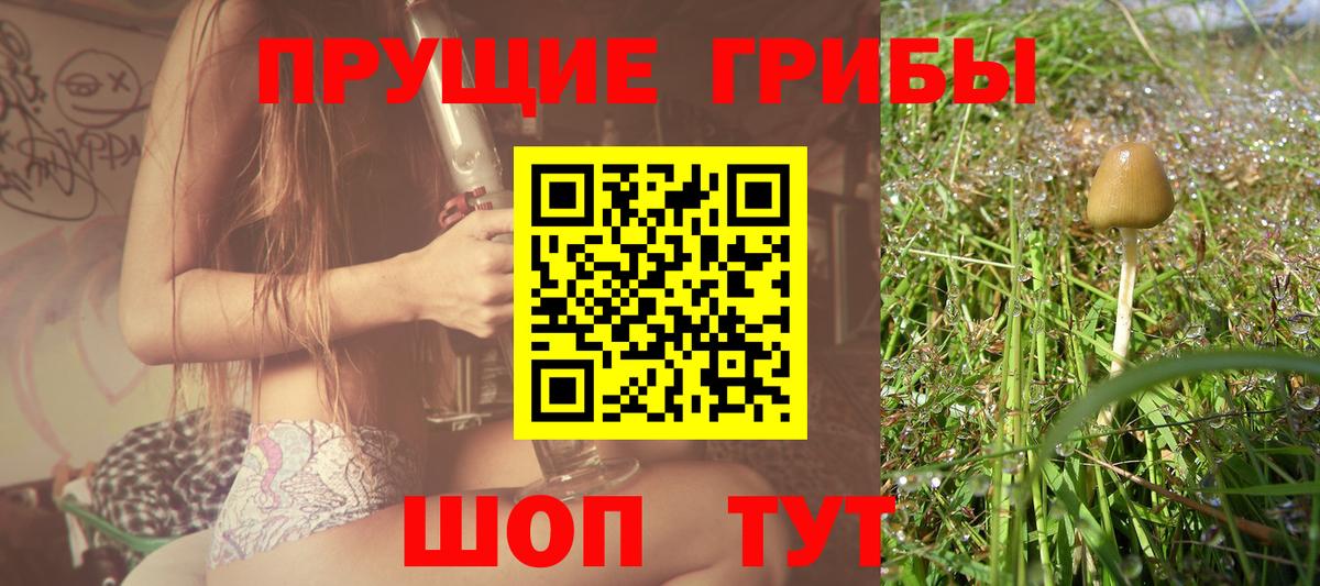 Псилоцибиновые грибы Cubensis Железногорск