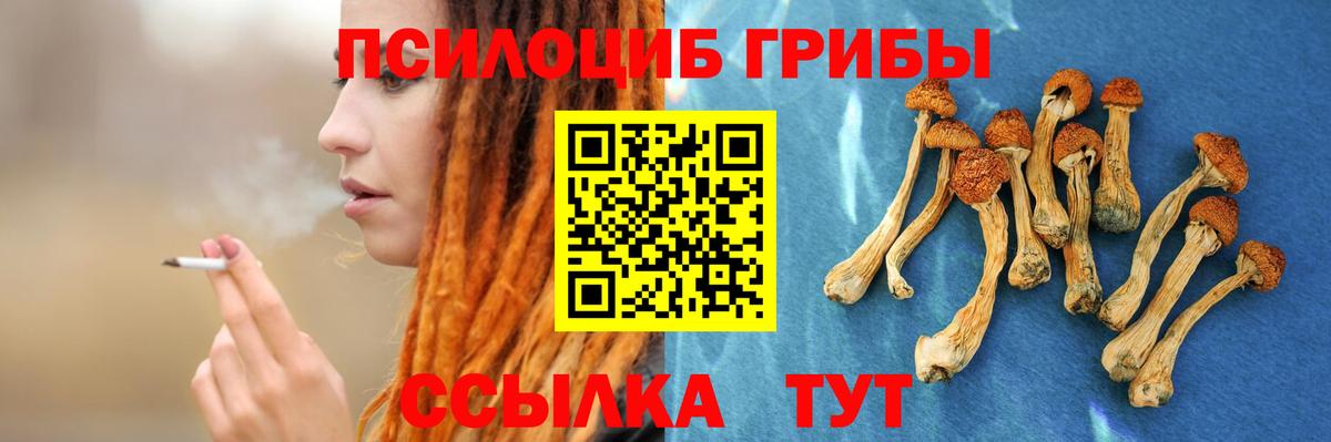 Псилоцибиновые грибы мицелий  Вход с VPN  Галлюциногенные грибы Magic Shrooms  Железногорск 